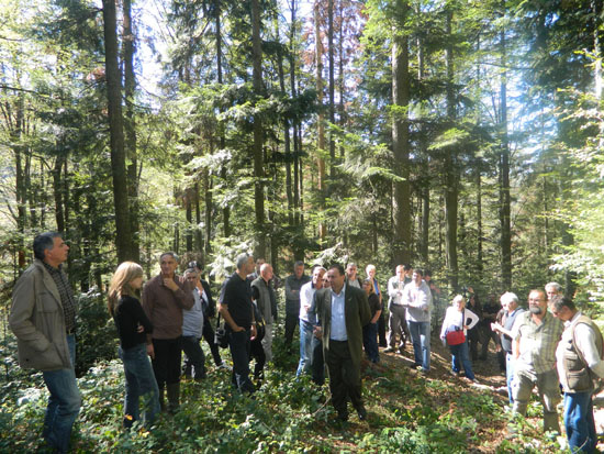 Na Goču u Gazdinskoj jedinici Sokolja održan seminar sa ciljem utvrđivanja uzročnika sušenja šuma i predloga mera sanacije