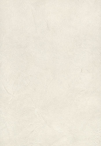 Dekor - F649 ST16 Claystone beli